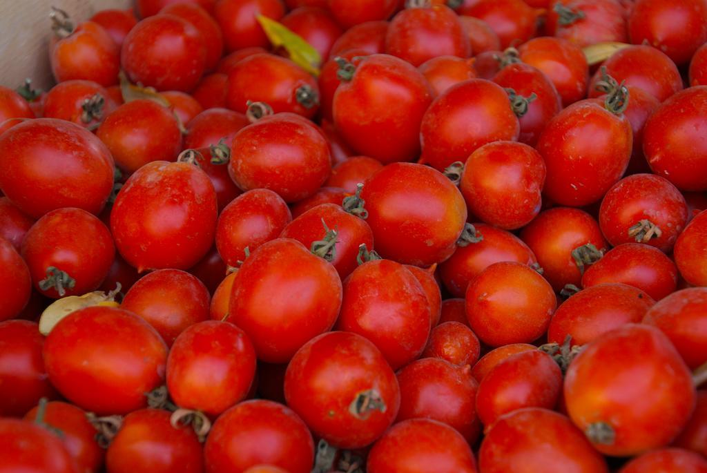Domus Agricolae Corallina 토레델그레코 외부 사진