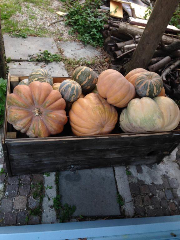 Domus Agricolae Corallina 토레델그레코 외부 사진